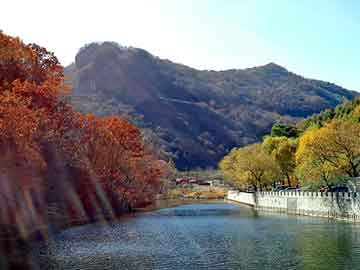 澳彩资料免费长期公开，东阳地板